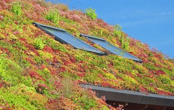 Lower Leigh living roof systems